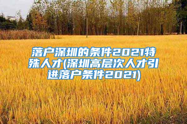 落户深圳的条件2021特殊人才(深圳高层次人才引进落户条件2021)