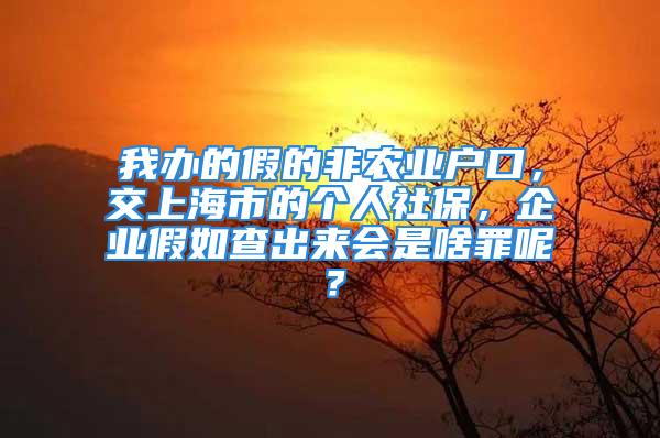 我办的假的非农业户口，交上海市的个人社保，企业假如查出来会是啥罪呢？