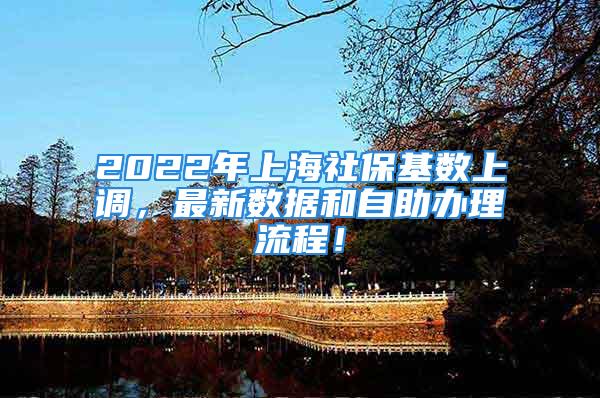 2022年上海社保基数上调，最新数据和自助办理流程！