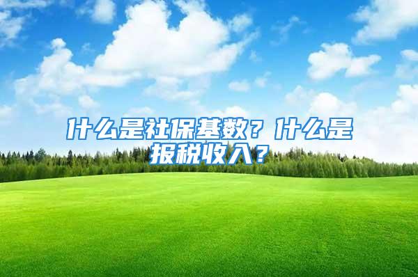 什么是社保基数？什么是报税收入？