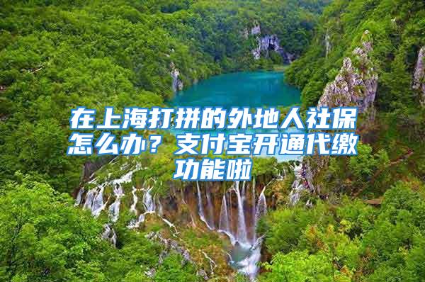 在上海打拼的外地人社保怎么办？支付宝开通代缴功能啦