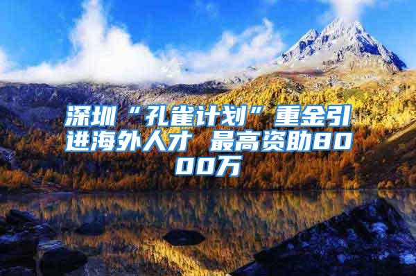 深圳“孔雀计划”重金引进海外人才 最高资助8000万