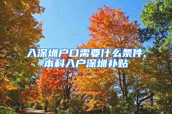 入深圳户口需要什么条件,本科入户深圳补贴