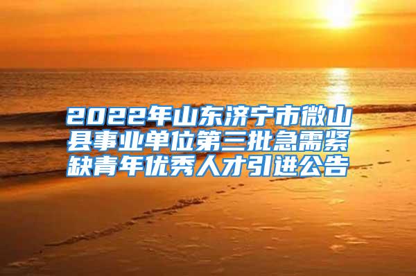 2022年山东济宁市微山县事业单位第三批急需紧缺青年优秀人才引进公告