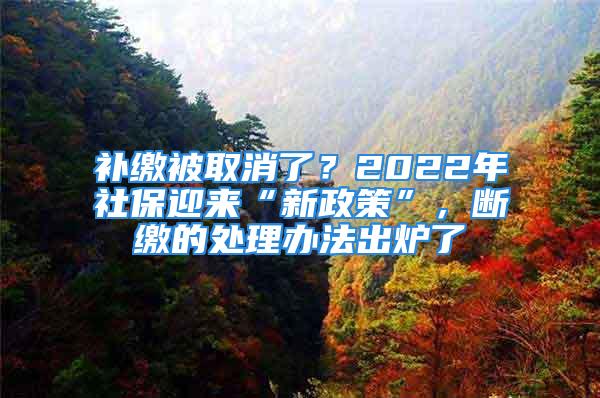 补缴被取消了？2022年社保迎来“新政策”，断缴的处理办法出炉了