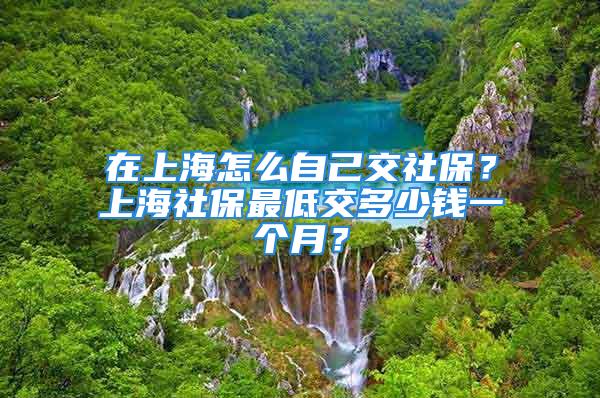 在上海怎么自己交社保？上海社保最低交多少钱一个月？