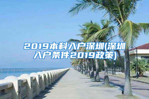 2019本科入户深圳(深圳入户条件2019政策)