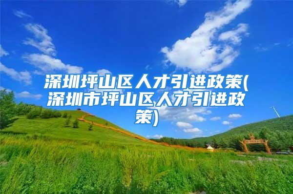 深圳坪山区人才引进政策(深圳市坪山区人才引进政策)