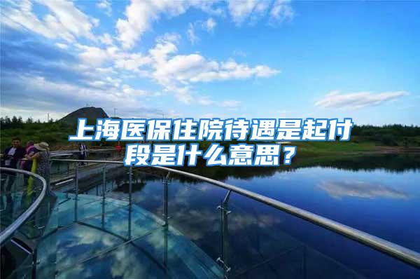 上海医保住院待遇是起付段是什么意思？