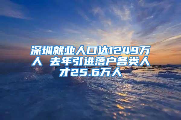 深圳就业人口达1249万人 去年引进落户各类人才25.6万人