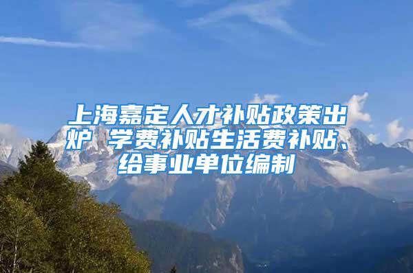 上海嘉定人才补贴政策出炉 学费补贴生活费补贴、给事业单位编制