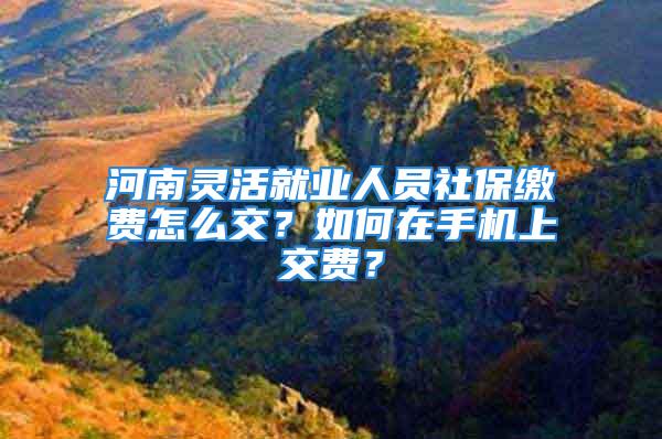 河南灵活就业人员社保缴费怎么交？如何在手机上交费？