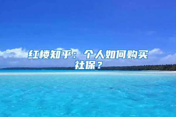 红楼知乎：个人如何购买社保？