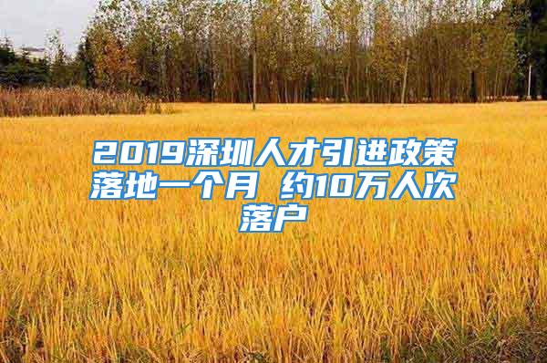 2019深圳人才引进政策落地一个月 约10万人次落户