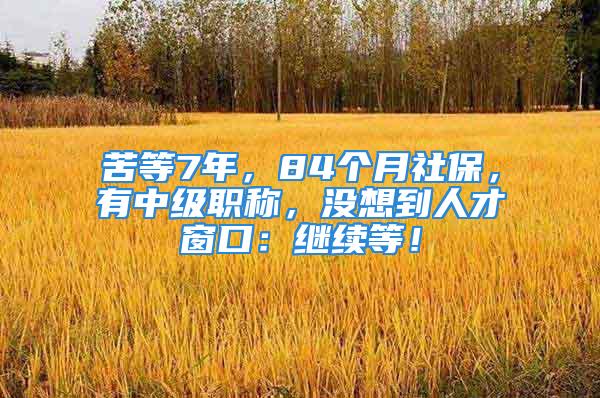 苦等7年，84个月社保，有中级职称，没想到人才窗口：继续等！