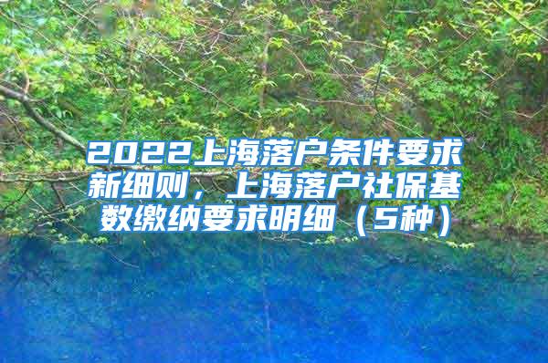 2022上海落户条件要求新细则，上海落户社保基数缴纳要求明细（5种）