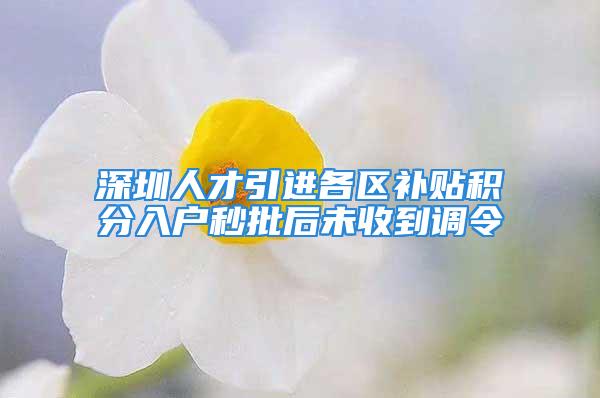 深圳人才引进各区补贴积分入户秒批后未收到调令