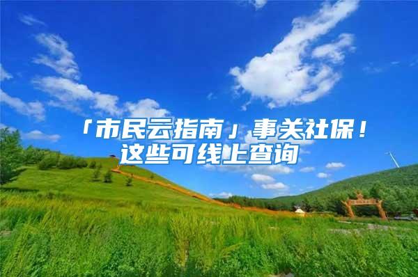 「市民云指南」事关社保！这些可线上查询