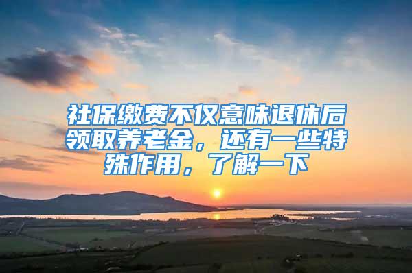 社保缴费不仅意味退休后领取养老金，还有一些特殊作用，了解一下