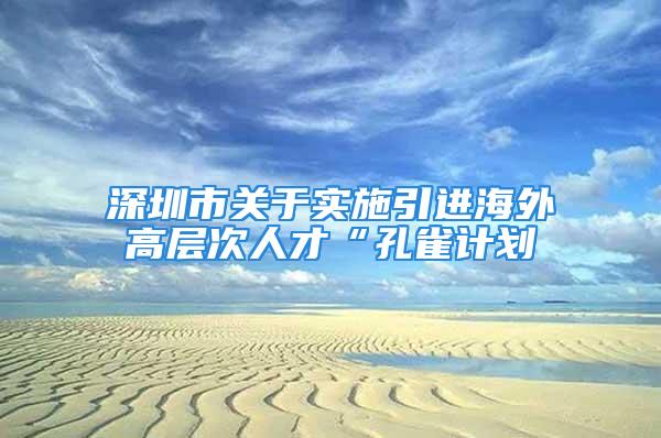 深圳市关于实施引进海外高层次人才“孔雀计划