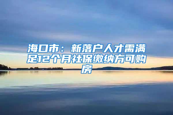 海口市：新落户人才需满足12个月社保缴纳方可购房