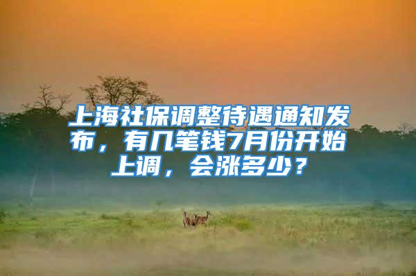 上海社保调整待遇通知发布，有几笔钱7月份开始上调，会涨多少？