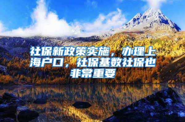 社保新政策实施，办理上海户口，社保基数社保也非常重要