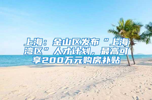 上海：金山区发布“上海湾区”人才计划，最高可享200万元购房补贴