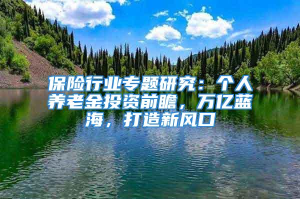 保险行业专题研究：个人养老金投资前瞻，万亿蓝海，打造新风口