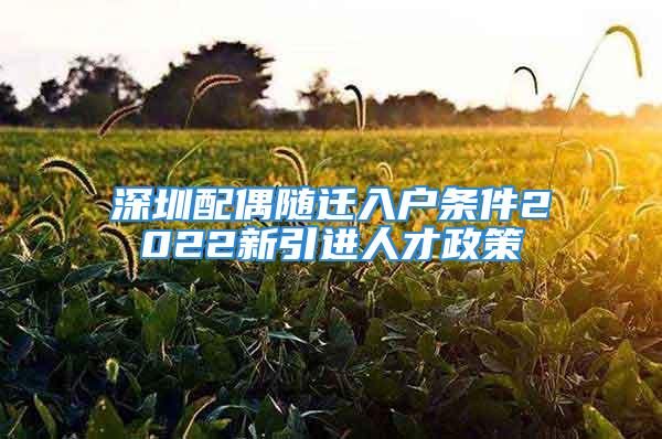 深圳配偶随迁入户条件2022新引进人才政策