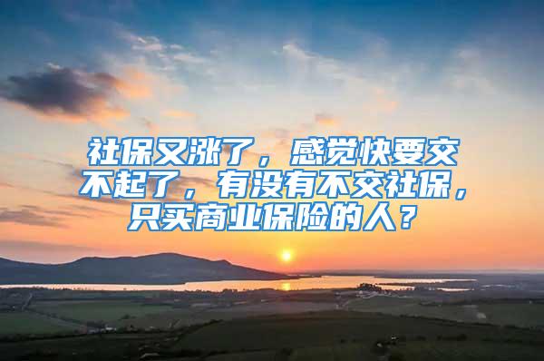 社保又涨了，感觉快要交不起了，有没有不交社保，只买商业保险的人？