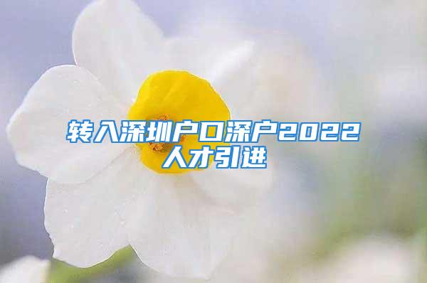 转入深圳户口深户2022人才引进