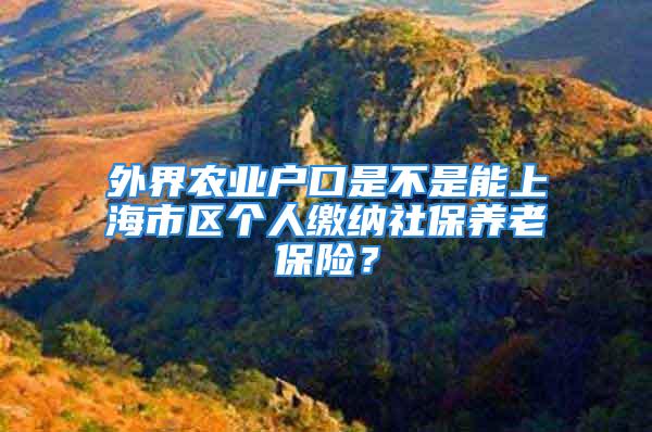 外界农业户口是不是能上海市区个人缴纳社保养老保险？