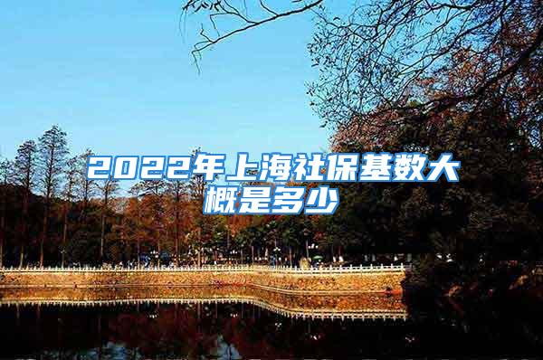 2022年上海社保基数大概是多少