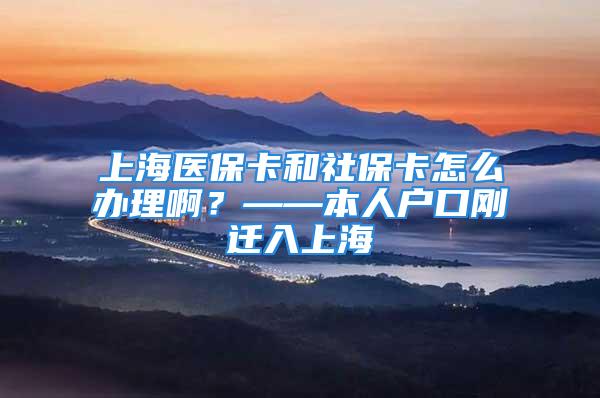 上海医保卡和社保卡怎么办理啊？——本人户口刚迁入上海