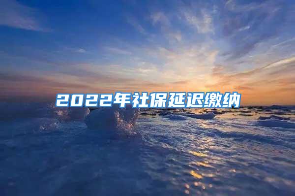 2022年社保延迟缴纳