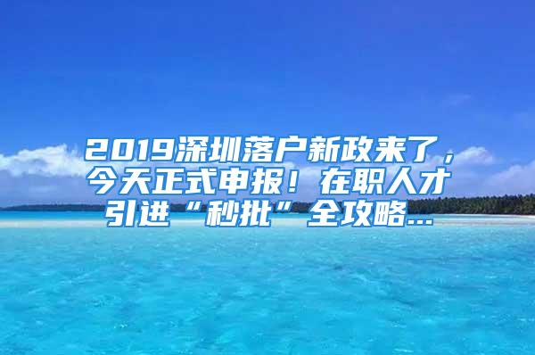 2019深圳落户新政来了，今天正式申报！在职人才引进“秒批”全攻略...