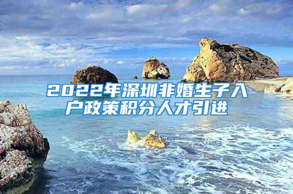 2022年深圳非婚生子入户政策积分人才引进