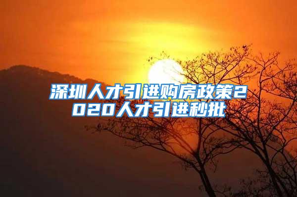 深圳人才引进购房政策2020人才引进秒批