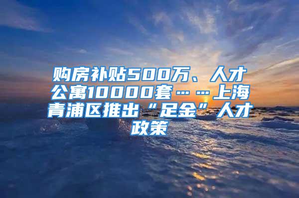 购房补贴500万、人才公寓10000套……上海青浦区推出“足金”人才政策