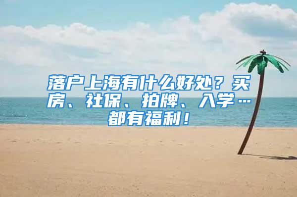 落户上海有什么好处？买房、社保、拍牌、入学…都有福利！