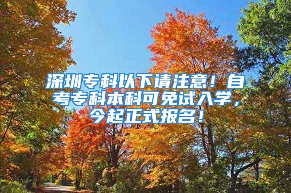 深圳专科以下请注意！自考专科本科可免试入学，今起正式报名！