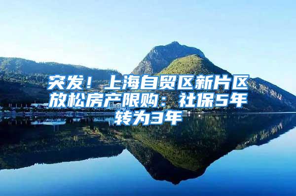 突发！上海自贸区新片区放松房产限购：社保5年转为3年