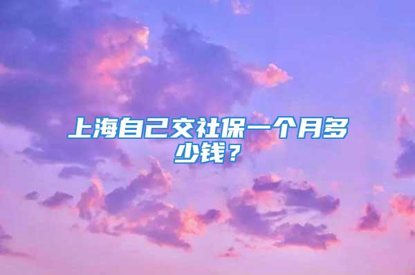 上海自己交社保一个月多少钱？