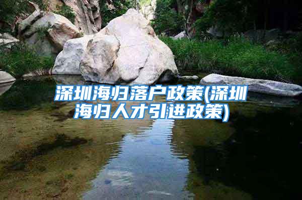 深圳海归落户政策(深圳海归人才引进政策)