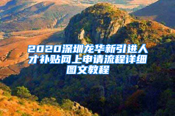 2020深圳龙华新引进人才补贴网上申请流程详细图文教程