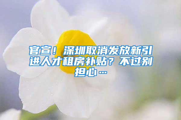 官宣！深圳取消发放新引进人才租房补贴？不过别担心…