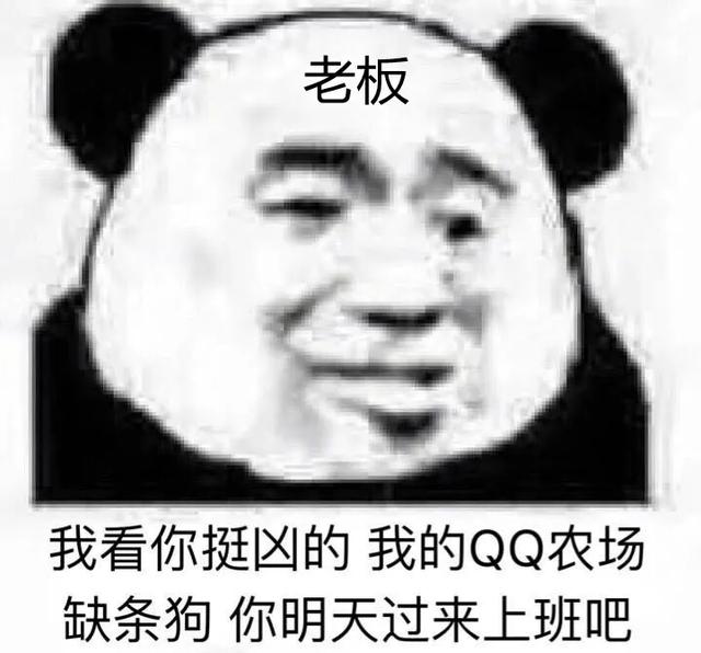 离职了自己怎么交社保