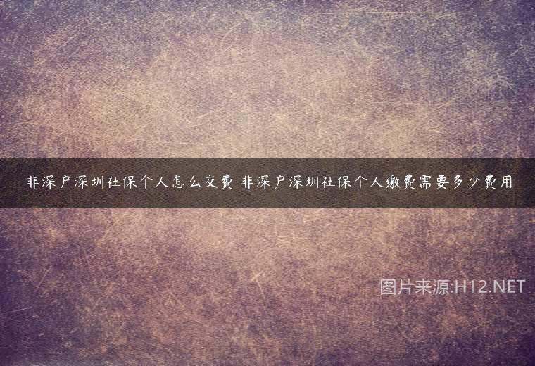 非深户深圳社保个人怎么交费 非深户深圳社保个人缴费需要多少费用