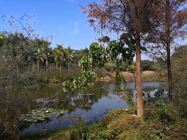 深圳市户口随迁流程